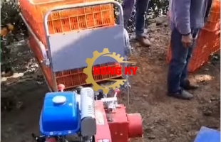 Hệ thống tàu 1 ray hỗ trợ thu hoạch vườn trái cây