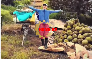 Tàu 1 Ray vận chuyển sầu riêng, cà phê, rau màu, nấm linh chi