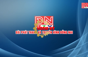Công Nghệ Hồng Kỳ Được Đài Truyền Hình Đồng Nai Đưa Tin