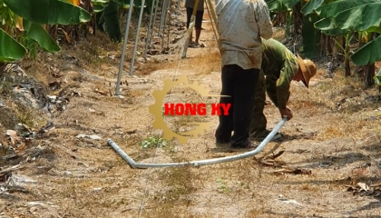 Vòm trụ