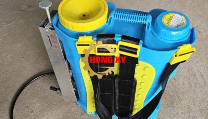 Bình chích bắp chuối